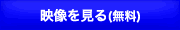 映像を見る